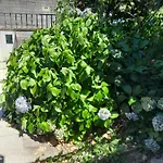 Appartement Have To Amarante